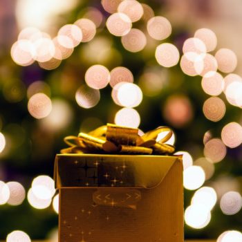 Holiday Charitable Gifts